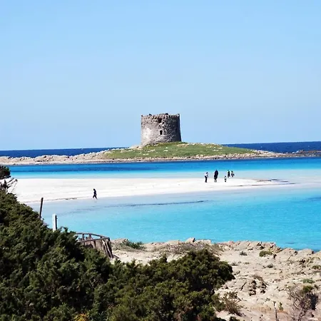 A.mare * Stintino