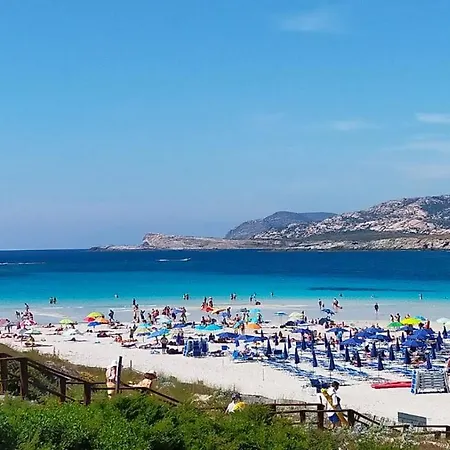A.mare *