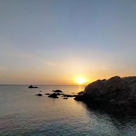 A.mare *